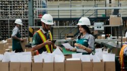 Ekspansi Strategis & Logistik Hijau: Langkah Cerdas CKB Logistics di Tengah Dinamika Global