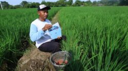 Petani, Nelayan hingga Buruh Diundang ke Istana Merdeka Ikut Peringatan HUT RI ke-80