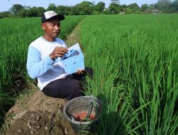 Petani, Nelayan hingga Buruh Diundang ke Istana Merdeka Ikut Peringatan HUT RI ke-80