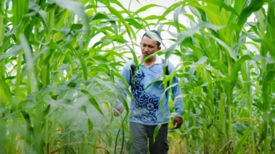 PT Cipta Kridatama, anak usaha dari PT ABM Investama Tbk, raih penghargaan Pengembangan Desa Berkelanjutan (PDB) Award 2025. (Foto: Istimewa)