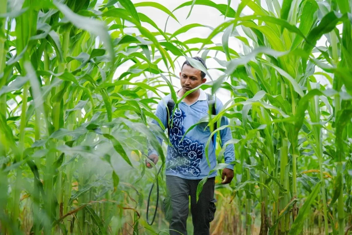 PT Cipta Kridatama, anak usaha dari PT ABM Investama Tbk, raih penghargaan Pengembangan Desa Berkelanjutan (PDB) Award 2025. (Foto: Istimewa)