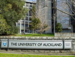 5 Kota Terbaik di New Zealand untuk Mahasiswa Internasional