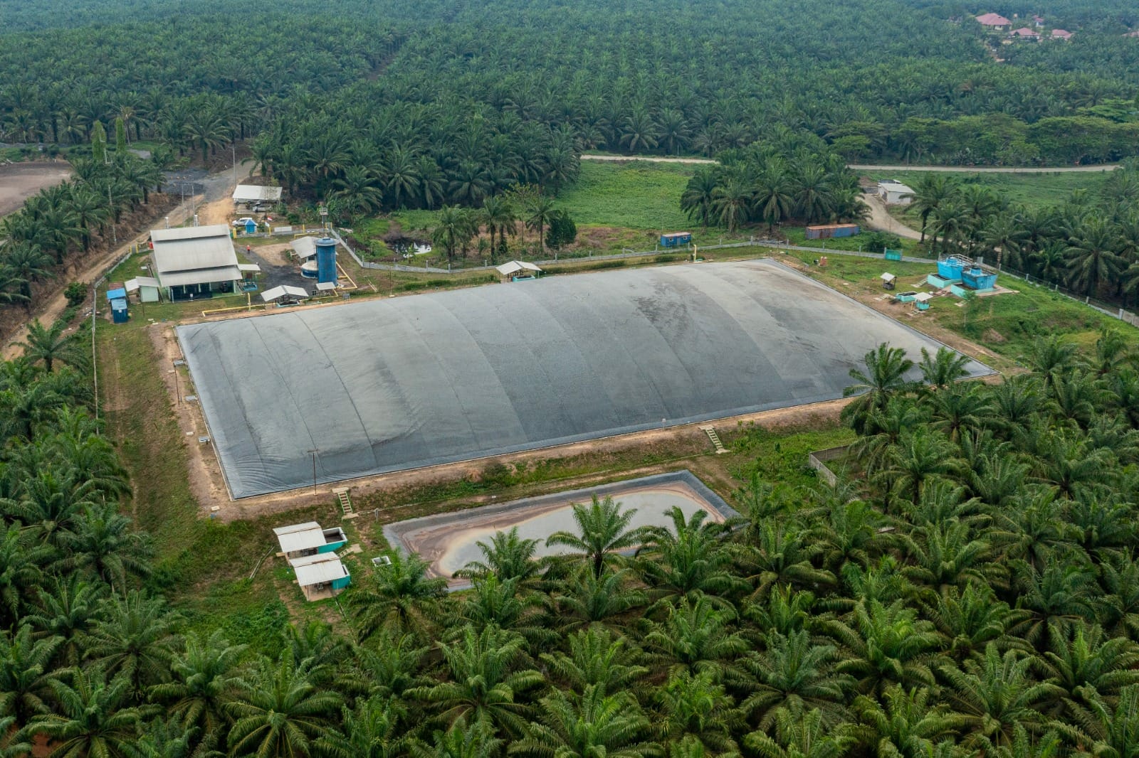 Limbah sawit pabrik Biogas Sukadamai, Kabupaten Tanah Bumbu yang berhasil menekan 121 ribu ton emisi. (Foto: Istimewa)