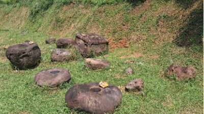 Batu-batu yang diduga Objek Cagar Budaya di Desa Badean, Kecamatan Bangsalsari, Kabupaten Jember. (Foto: Istimewa)