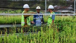 Kolaborasi Hasnur Group dan Mitra dalam Rehabilitasi Lahan Pascatambang di Kalimantan Selatan
