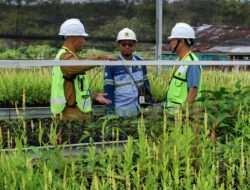 Kolaborasi Hasnur Group dan Mitra dalam Rehabilitasi Lahan Pascatambang di Kalimantan Selatan