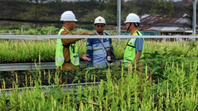 PT Hasnur Group Indonesia bersama sejumlah mitra luncurkan proyek budidaya tanaman Pongamia di lahan pascatambang di Kabupaten Tapin, Kalimantan Selatan. (Foto: Istimewa)